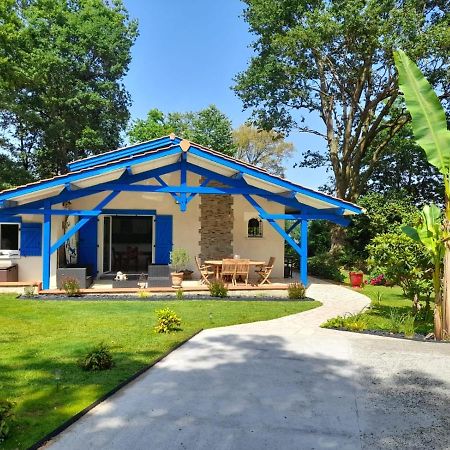 La Clairiere Du Seignanx Bed & Breakfast Saint-Martin-de-Seignanx ภายนอก รูปภาพ