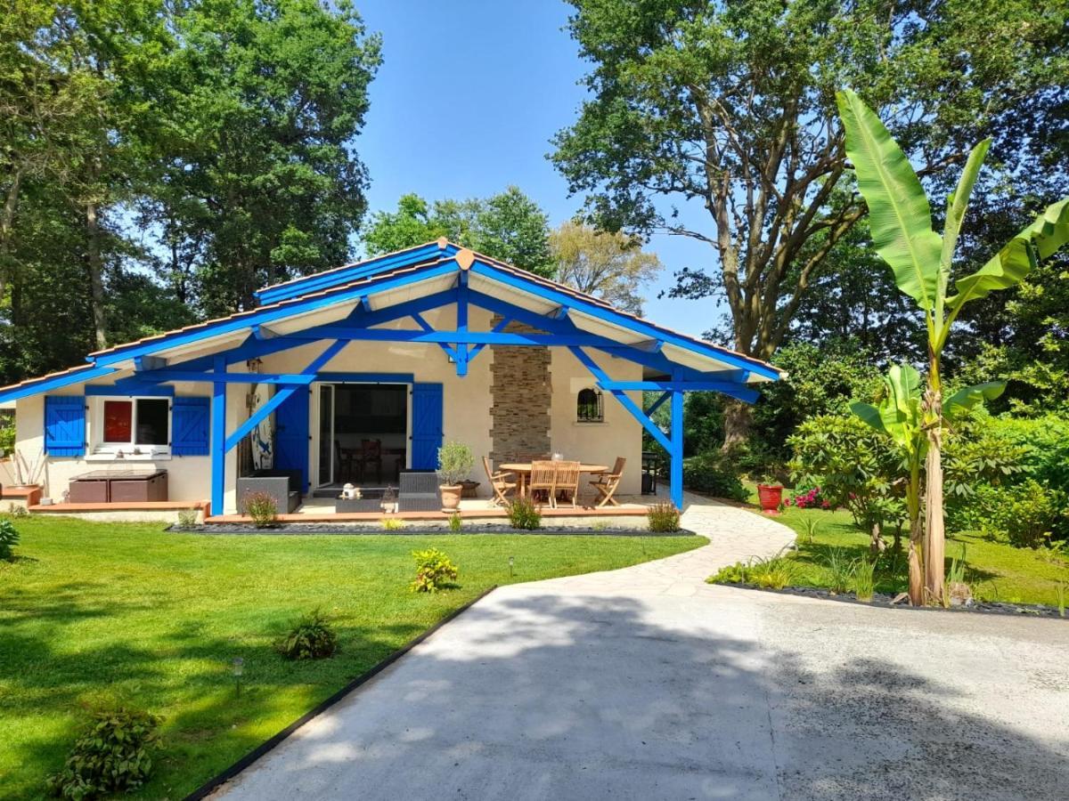 La Clairiere Du Seignanx Bed & Breakfast Saint-Martin-de-Seignanx ภายนอก รูปภาพ