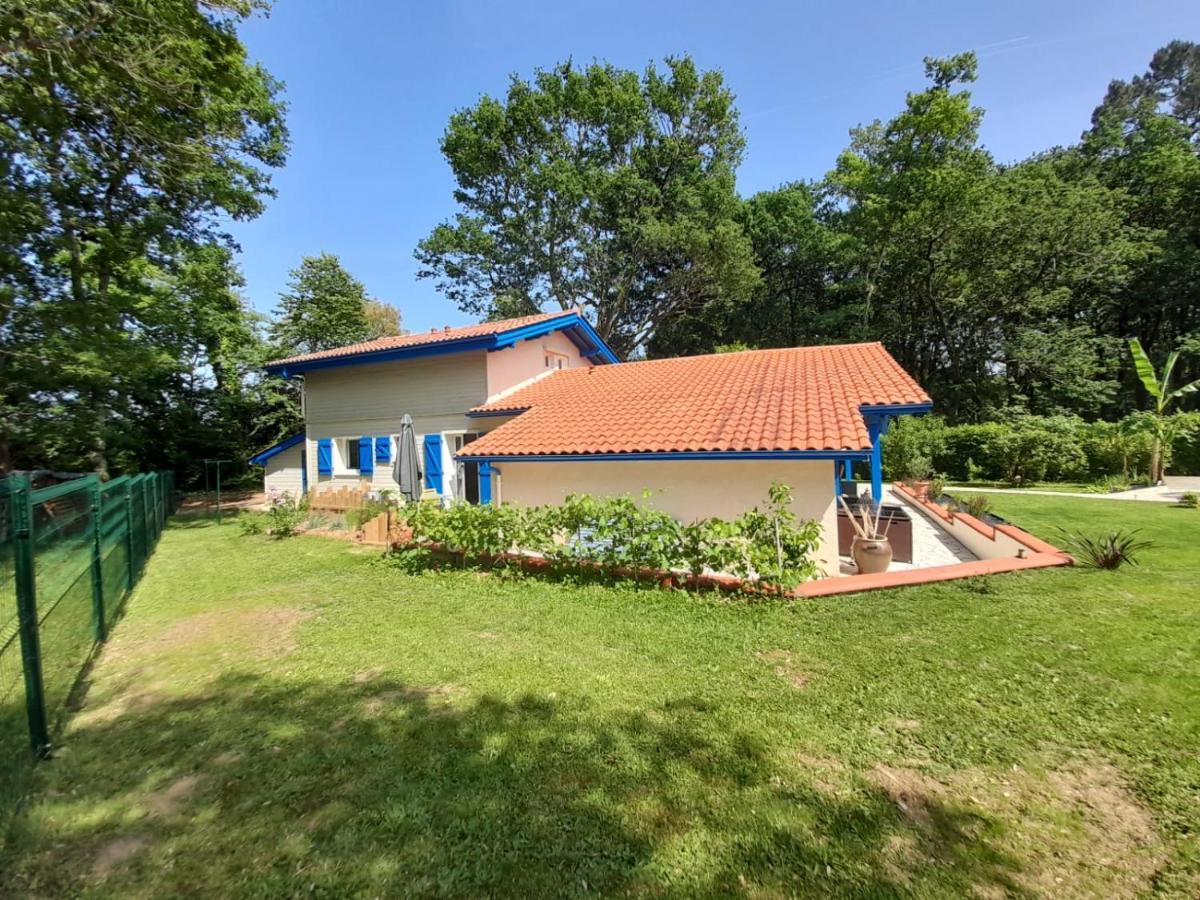 La Clairiere Du Seignanx Bed & Breakfast Saint-Martin-de-Seignanx ภายนอก รูปภาพ