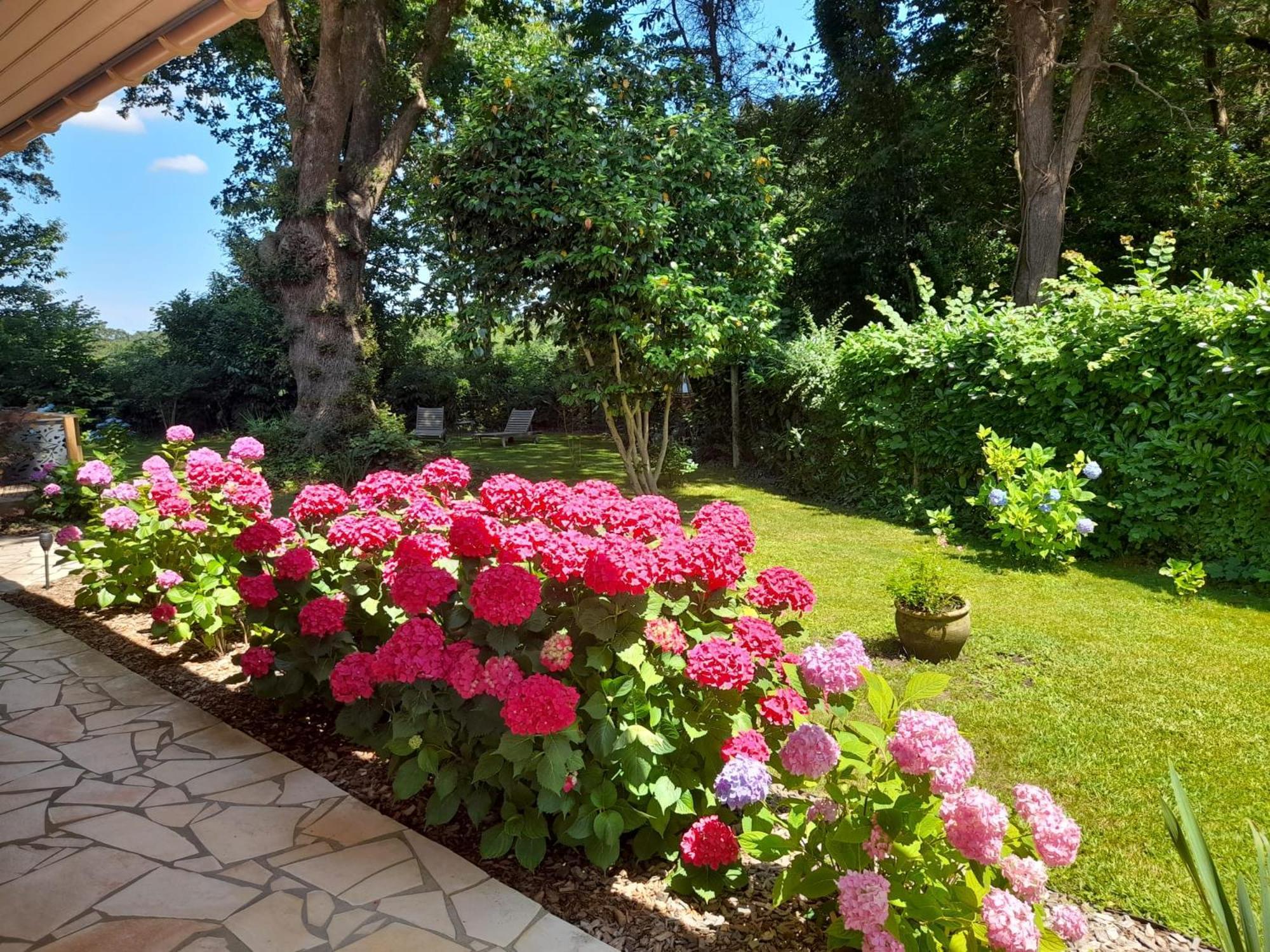 La Clairiere Du Seignanx Bed & Breakfast Saint-Martin-de-Seignanx ภายนอก รูปภาพ