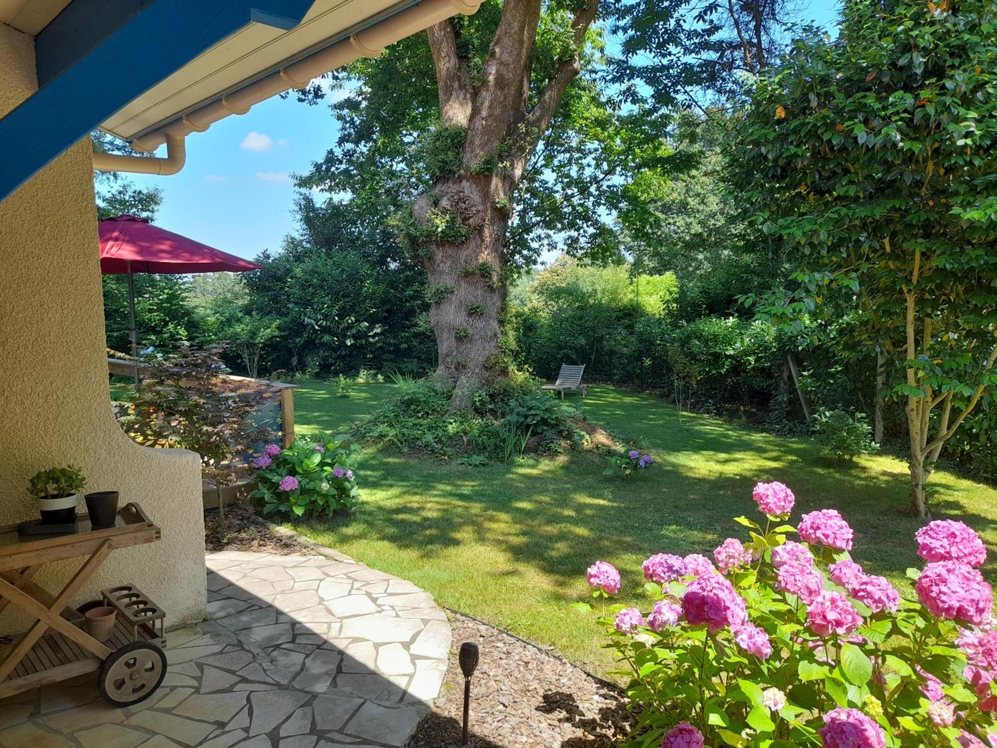 La Clairiere Du Seignanx Bed & Breakfast Saint-Martin-de-Seignanx ภายนอก รูปภาพ
